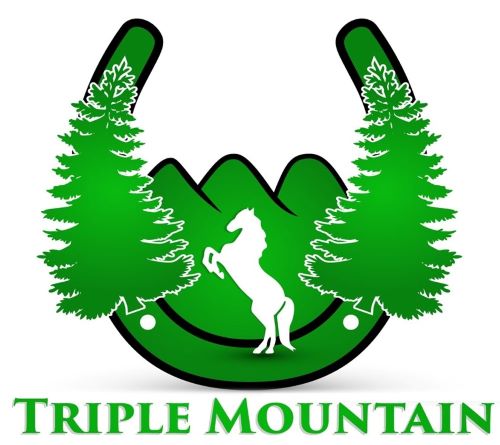 Triple Mountain Model Horses